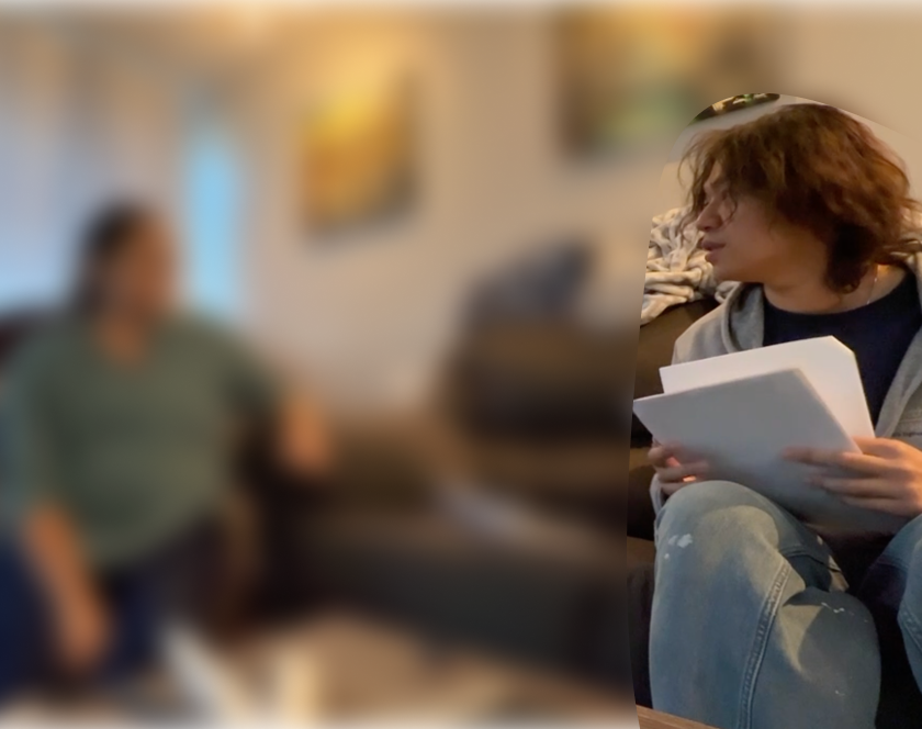 In-home interviews