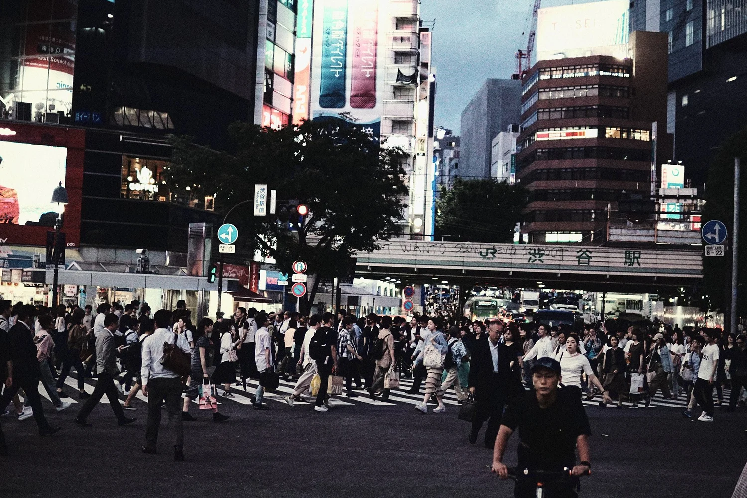 Crowds crossing a busy Tokyo intersection at dusk, a cyclist in the foreground and an illuminated rail bridge with Japanese signage behind