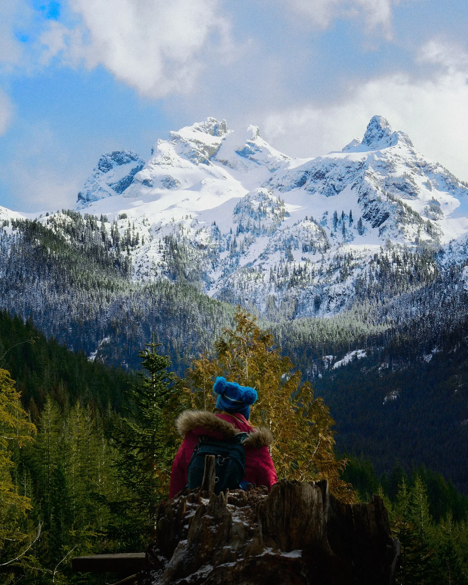 A person in a red parka and blue knit hat sits on a tree stump looking at snow-covered mountain peaks above an evergreen forest