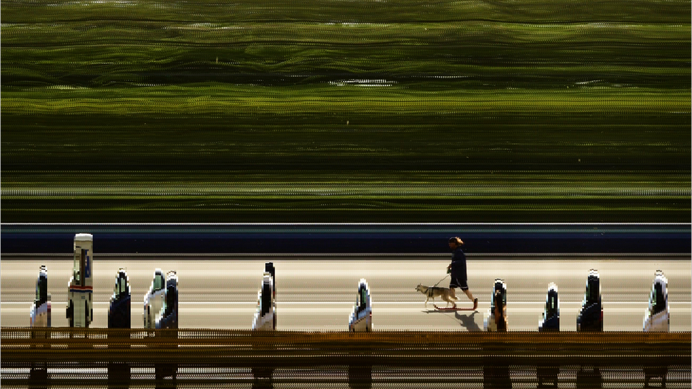 Slit-scan photograph of a person walking a dog along a sunlit path, the scene stretched into streaks of green grass above and a row of warped, melted-looking bollards below
